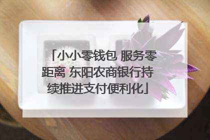 小小零钱包 服务零距离 东阳农商银行持续推进支付便利化